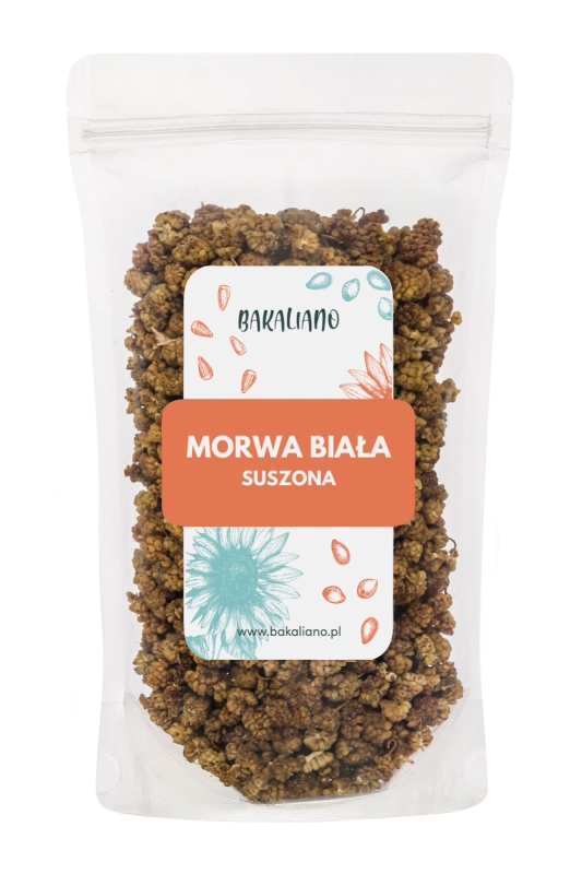 morwa biała.png